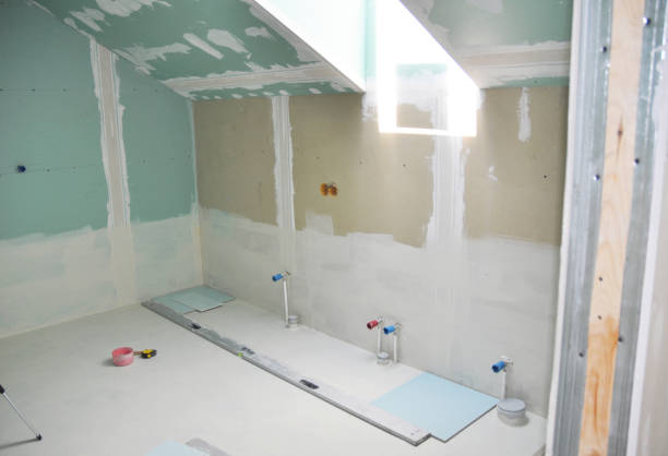 Best Mold Odor Removal Services  in Cleora, OK