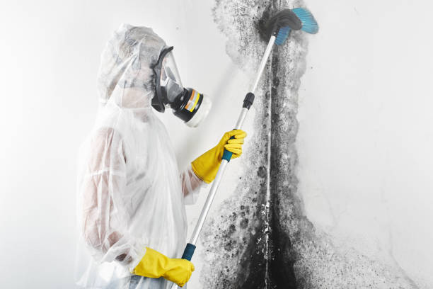 Best Biohazard Mold Removal  in Cleora, OK