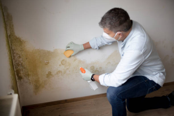 Best Mold-Related Health Consultation  in Cleora, OK